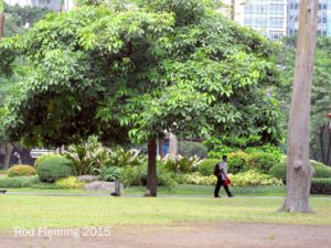 rod-fleming-makati-greenhills-manila-2015