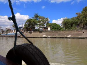 River ferries